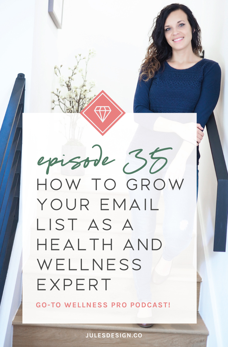 Episode 35: How to Grow Your Email List as a Health and Wellness Expert. Christina helps wellness professionals get consistent and strategic with their online business so they can connect with the ones that need them. She does this through email marketing, FB Ads, and funnels. 